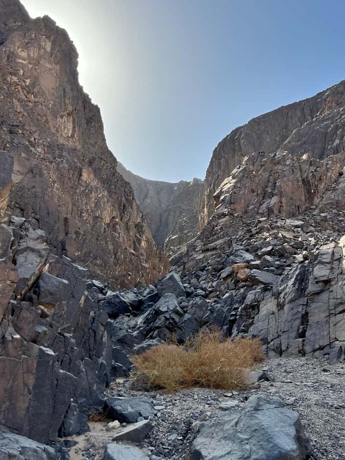 Hurghada: Hiking , dinner & stargazing - Price of $68 and the real value of a full desert day