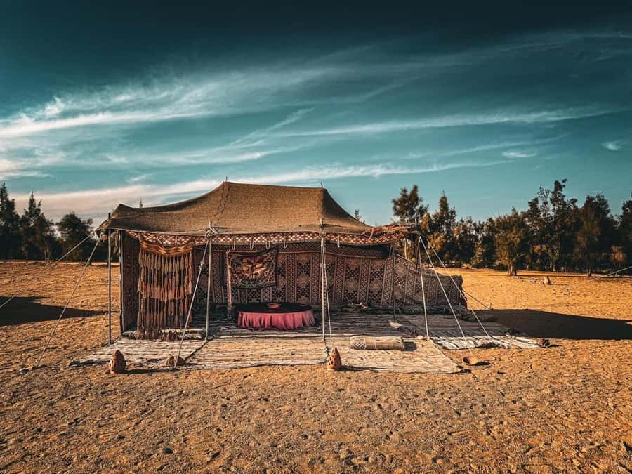 Hurghada: Hiking , dinner & stargazing - Who this Hurghada trip suits best, and who should skip