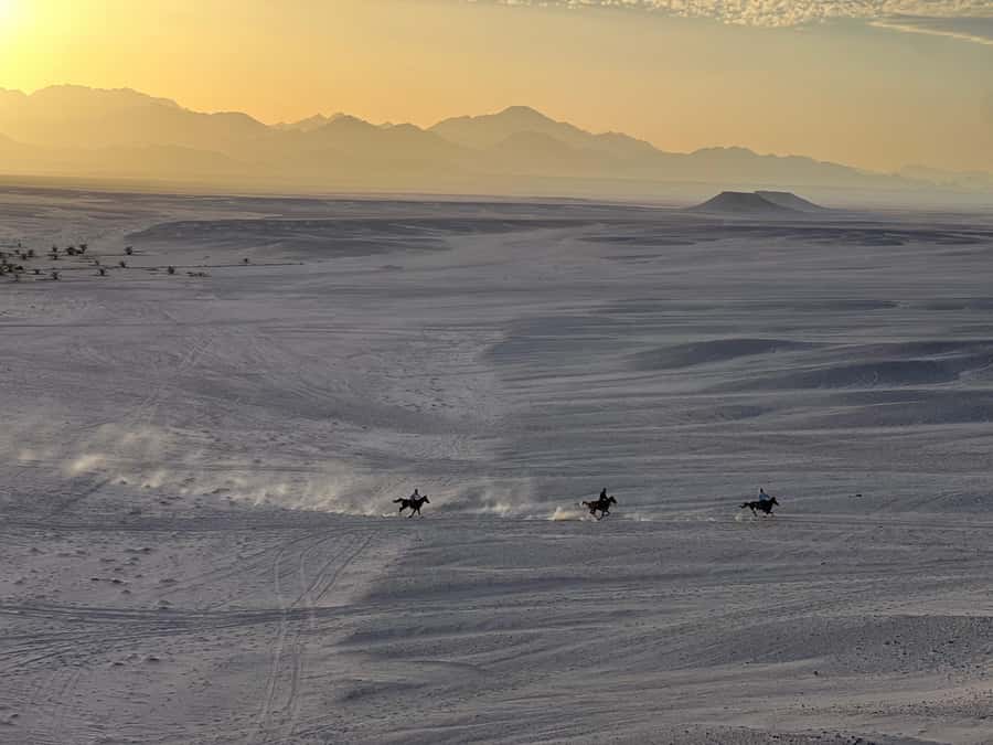 Hurghada: Horse Ride, BBQ Dinner, and Stargazing - Key Highlights You Will Actually Feel