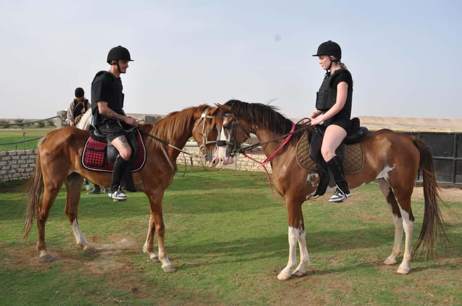 Hurghada: Horse Ride, BBQ Dinner, and Stargazing - Arabian Welcome Tea and Safety Briefing: The Part That Saves Your Day