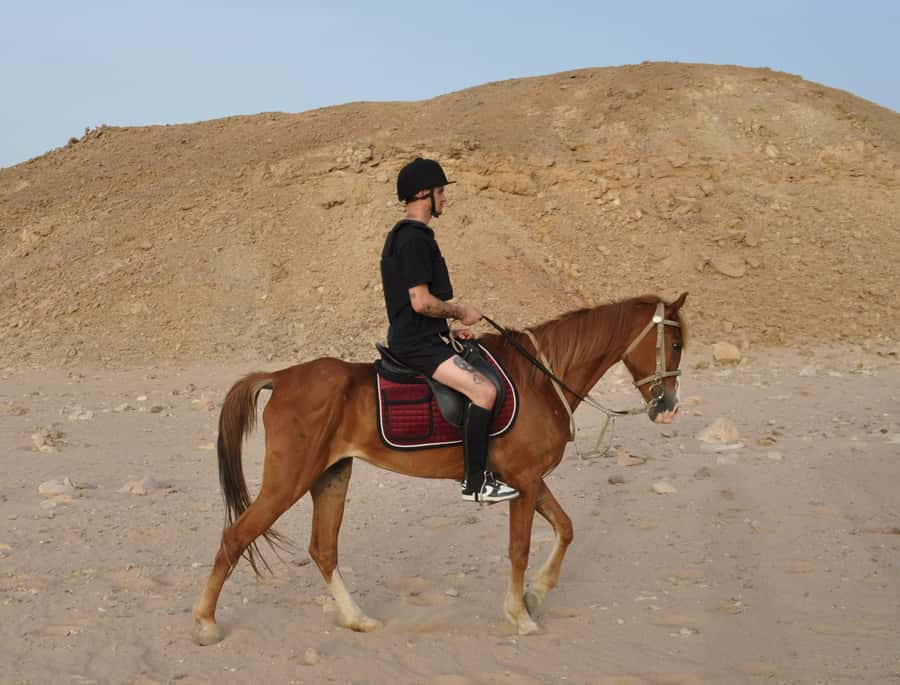 Hurghada: Horse Ride, BBQ Dinner, and Stargazing - Desert Photo Stops and Breaks: How They Keep It Enjoyable
