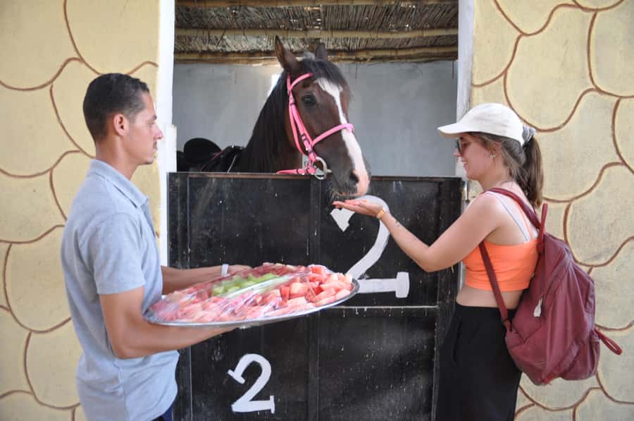 Hurghada: Horse Ride, BBQ Dinner, and Stargazing - Who This Trip Suits Best, and Who Should Skip It