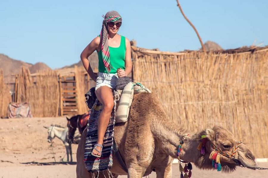 Hurghada: Jeep and ATV Quad with Dinner & Desert Fire Show - Who Should Book This, and Who Might Want to Skip It