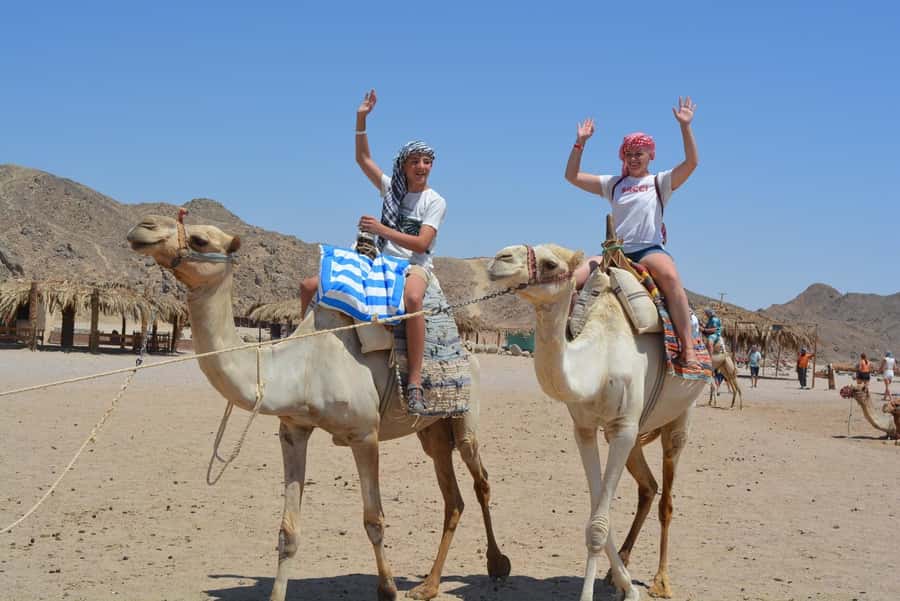 Hurghada: Jeep Safari with Camel Ride, Dinner and Show - Oriental Show Finish: Belly Dance and a Nightcap Mood