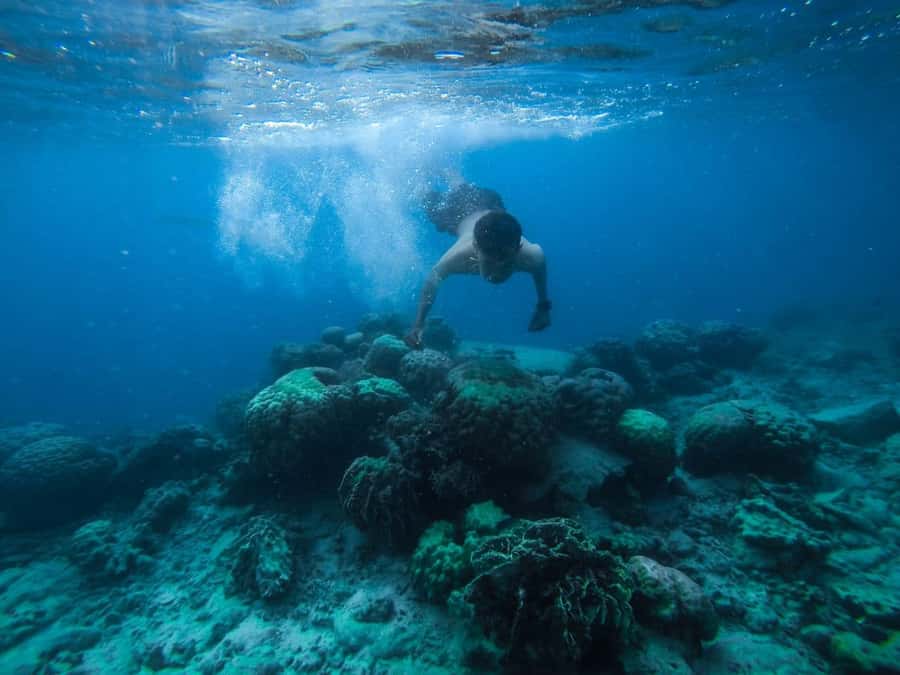 Hurghada:Luxury Diving & Snorkeling inc/Island/Lunch/Massage - Key highlights I’d circle before you book