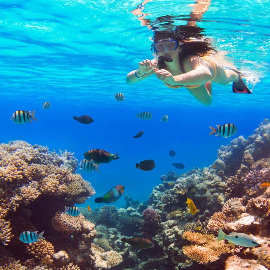 Hurghada:Luxury Diving & Snorkeling inc/Island/Lunch/Massage - Orange Bay Island: sun, photos, and a lively little pause