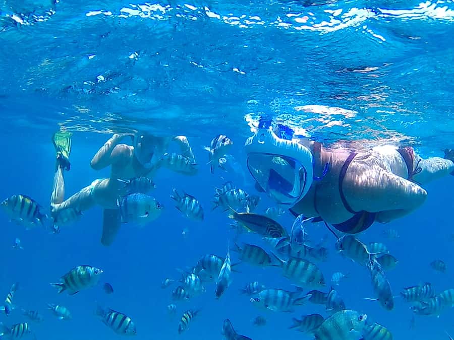 Hurghada: Luxury Giftun island w/snorkeling/lunch & Massage - Key highlights worth knowing before you go