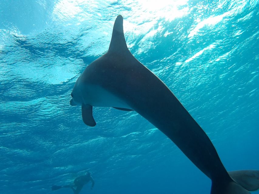 Hurghada: Luxury Orange Bay w/Snorkeling, Massage and Diving - Intro Scuba at Small Giftun: Try It Safely, Not Rushed