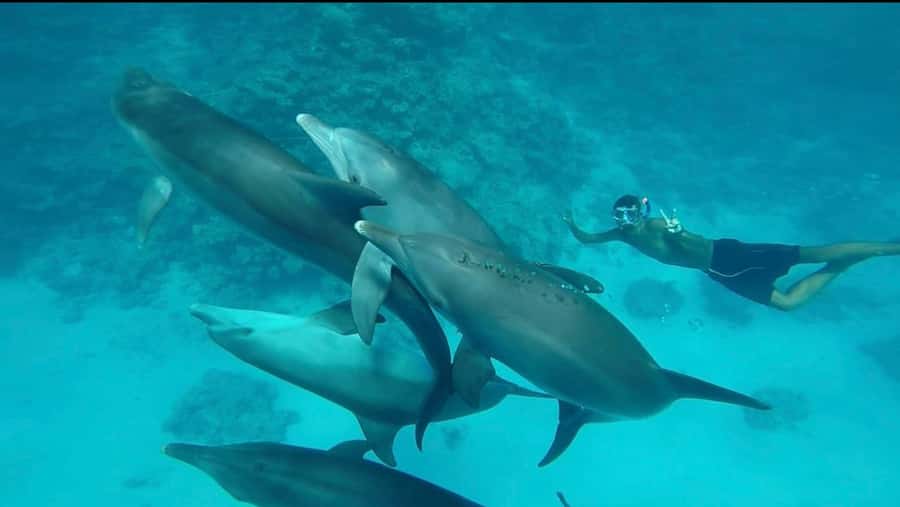 Hurghada: Luxury Yacht Trip with Personal Crew and Chef - Who Should Book This Yacht Trip