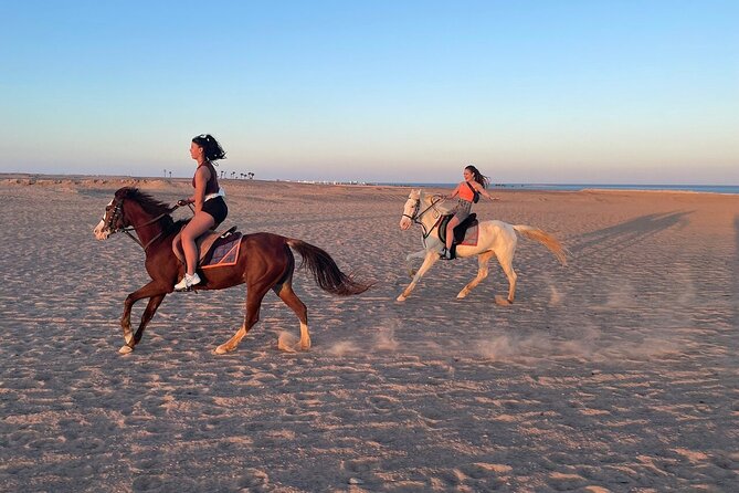 Hurghada: Makadi Water World with Lunch & Transfers - Key highlights worth planning for