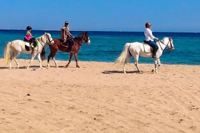 Hurghada: Makadi Water World with Lunch & Transfers - Lunch and refueling: open buffet comfort in the middle of slides