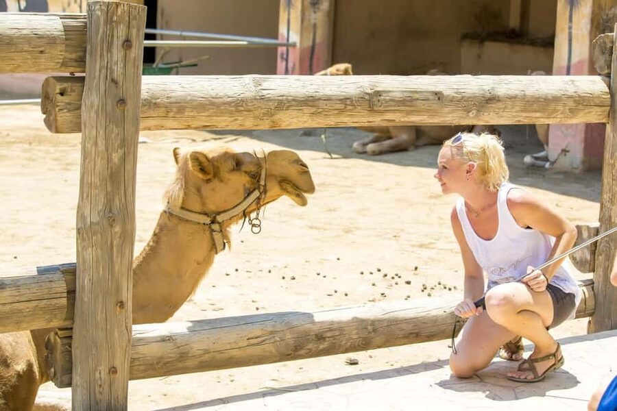 Hurghada: Mega Jeep safari, ATV & Bedouin vibe, and Dinner - Sunset BBQ Dinner With Tanoura and Fire Show