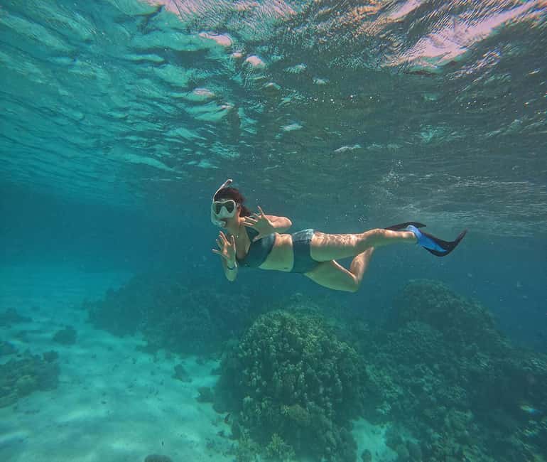 Hurghada or Makadi: Discover the Magic of Dolphin House - Pickup timing and what to pack for an easy morning