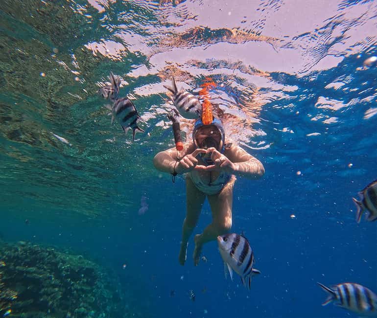 Hurghada or Makadi: Discover the Magic of Dolphin House - Who this Dolphin House trip fits best
