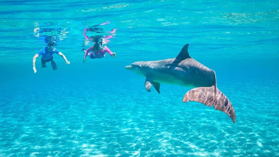 Hurghada or Makadi: Discover the Magic of Dolphin House - A realistic itinerary: dolphins, 2 snorkel stops, sofa boat, and lunch