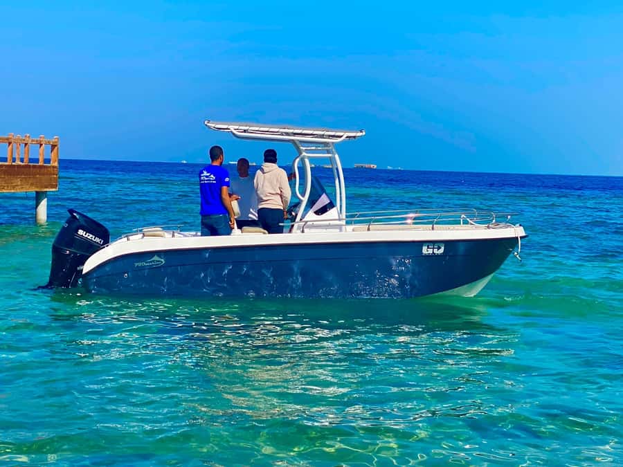 Hurghada: Orange Bay Dolphin Watching, Snorkeling & Lunch - The optional short flight over the Red Sea: when you want the view from above