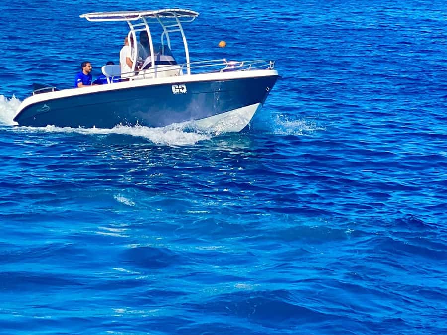 Hurghada: Orange Bay Dolphin Watching, Snorkeling & Lunch - Price and value around $47: what you’re really paying for