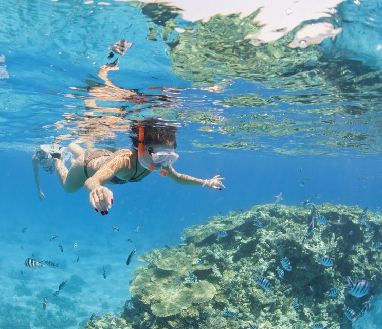 Hurghada: Orange Bay & Giftun Island, Snorkeling With Lunch - Crew, timing, and the small details that affect your day
