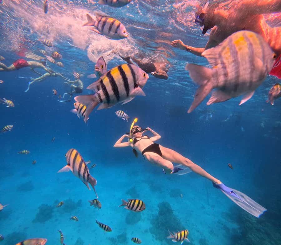 Hurghada: Orange Bay Island Boat Trip w/ Breakfast and Lunch - Two snorkeling stops: what you’ll see and how guides keep it manageable