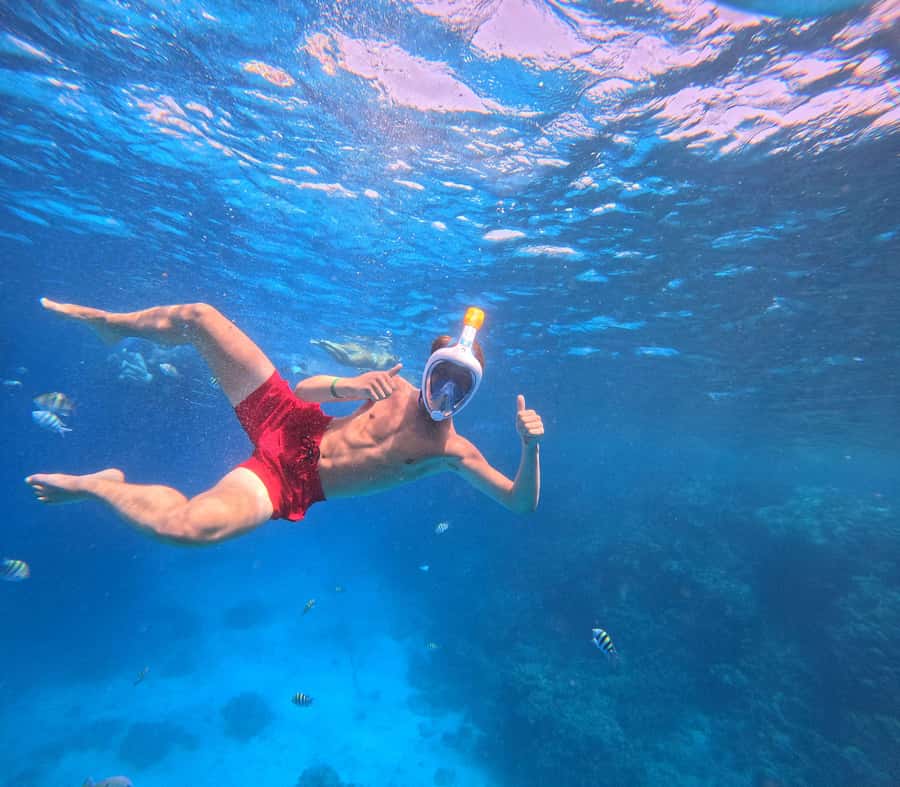 Hurghada: Orange Bay Island with breakfast, lunch & watersports - Optional parasailing: the view from above