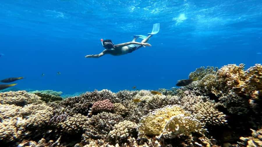 Hurghada: Orange & Giftun Island Cruise with Massage & Lunch - Two Reef Snorkeling Spots With Equipment and Crew Support