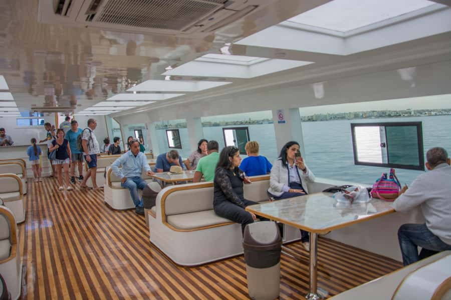Hurghada: Panoramic Semi-Submarine Cruise with Snorkeling - 5 Meters Down: What you’re likely to see in the semi-submarine