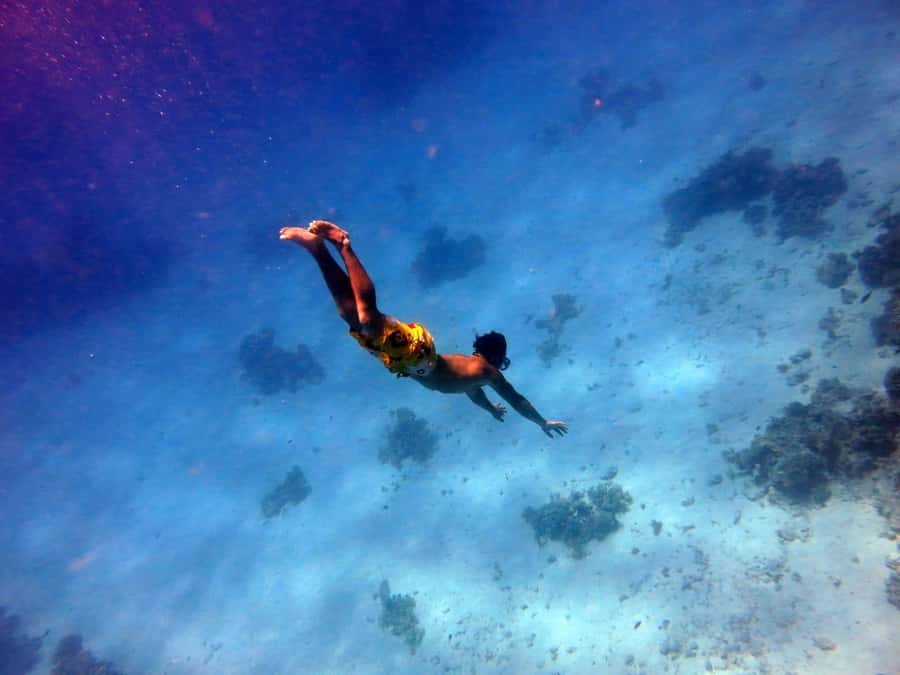 Hurghada: Premium Island Cruise with Lunch and snorkeling - Pickup timing in Hurghada: shared bus, WhatsApp, and buffer time