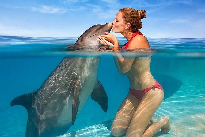 Hurghada: Private 4 Hours Speedboat Dolphin House Snorkling Tour - Dolphin House, Paradise Island, or Orange Bay: Choosing the Right Waters