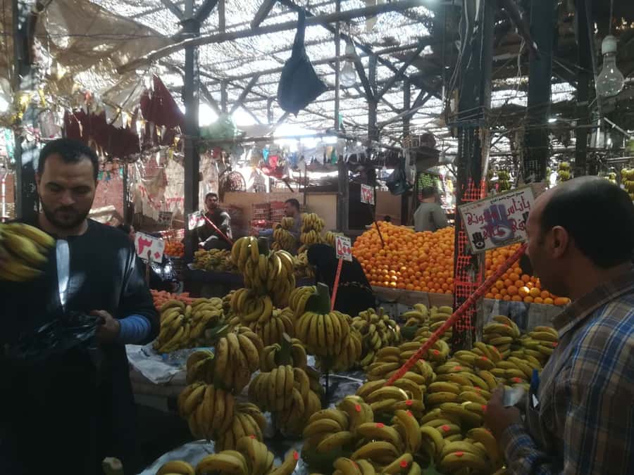 Hurghada: Private Guide City Tour & Shopping Stop - Getting Your Bearings in Hurghada, in Just 3 Hours