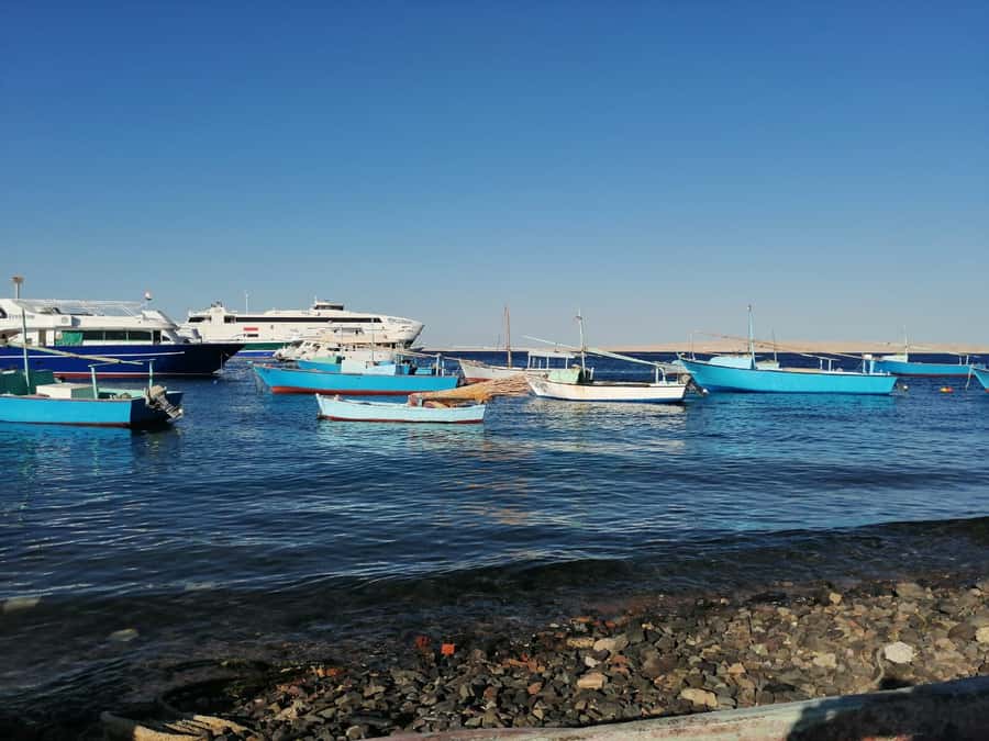 Hurghada: Private Guide City Tour & Shopping Stop - The Hurghada Fish Market: Local Seafood Life Up Close
