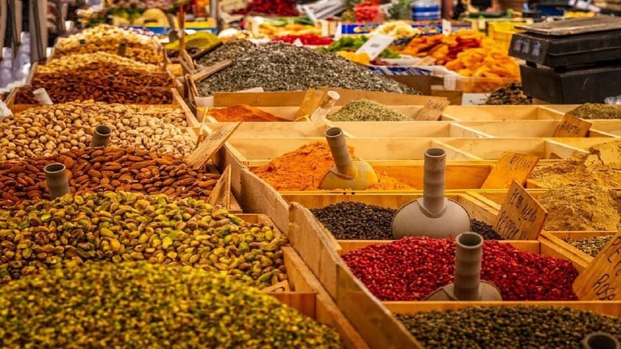 Hurghada: Private or Shared City Tour with Guide & Shopping - Private vs Shared: Pace, Comfort, and How Much Time You Get