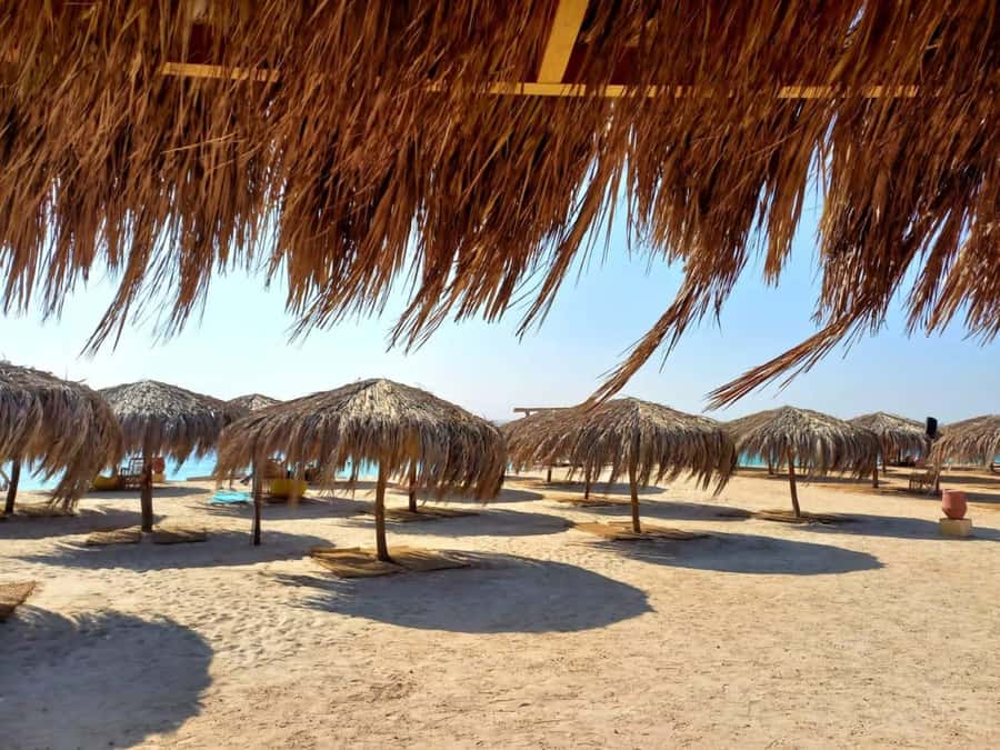 Hurghada: Private Speedboat to Magawish Island - Price at $88 a Person, What You Actually Get