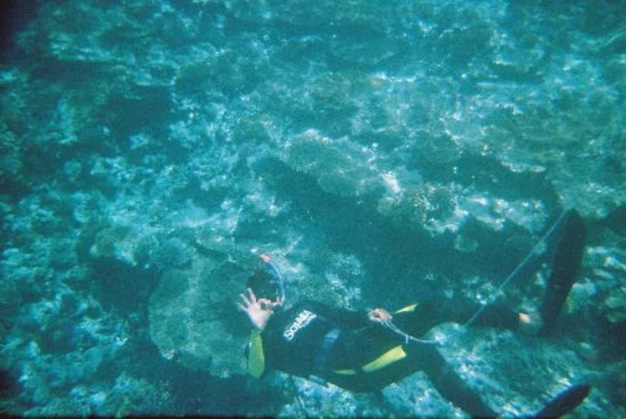 Hurghada, Professionals Diving in Open Water Tour with Lunch - Key things I’d plan around