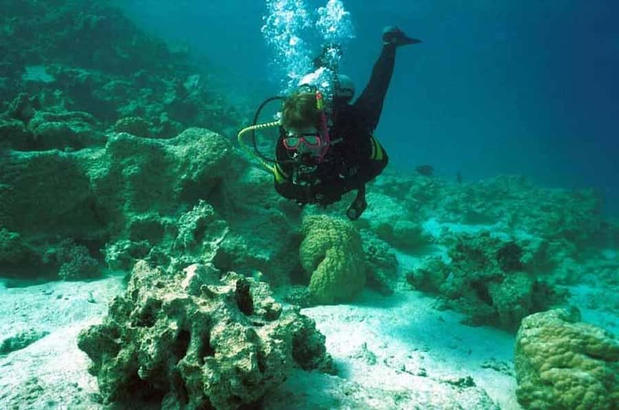 Hurghada, Professionals Diving in Open Water Tour with Lunch - The boat schedule, from sailing to your first water check