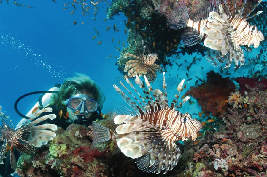 Hurghada, Professionals Diving in Open Water Tour with Lunch - Second scuba session plus snorkeling time for the curious