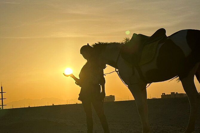 Hurghada: Red Sea & Desert Horse Riding Tour with Swimming - What You Get for $20 in Hurghada