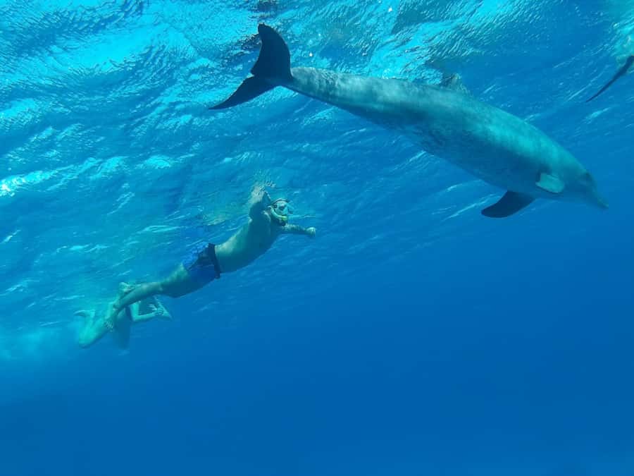 Hurghada: Royal Orange Bay with Massage, Snorkeling & Lunch - Lunch and drinks: onboard BBQ, salads, fruit, and steady hydration