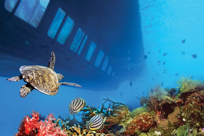 Hurghada: Royal Seascope Submarine Cruise with Snorkel Stop - Snorkeling for 20 minutes: short, friendly, and safer than you think