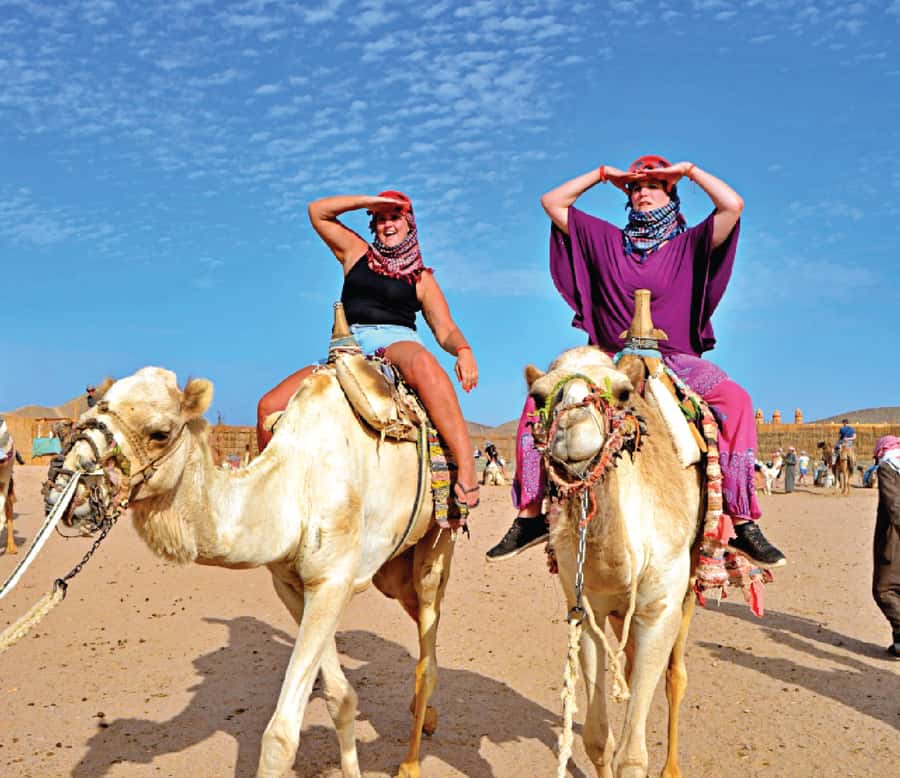 Hurghada: Safari Jeep & Camel Ride with BBQ Dinner & Show - Price and Value: What $28 Buys You (And What It Might Not)