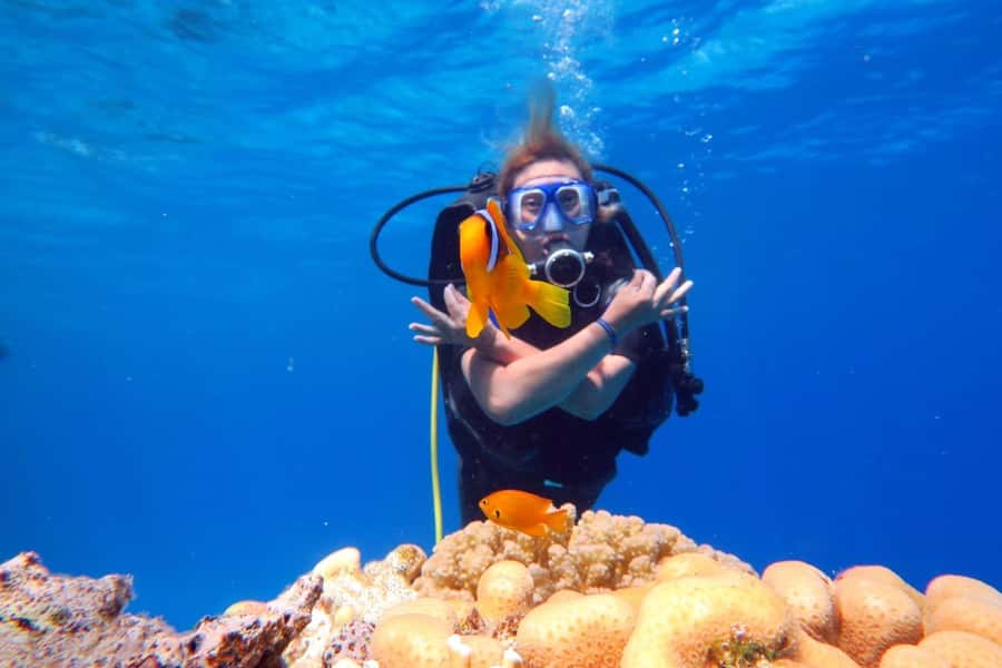 Hurghada: Scuba Diving cruise with lunch & pickup - Key things that make this cruise worth it