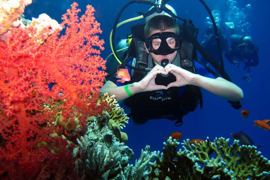 Hurghada: Scuba Diving cruise with lunch & pickup - Hurghada Red Sea timing that actually fits a vacation