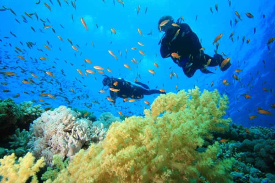 Hurghada: Scuba Diving cruise with lunch & pickup - Price and value: what $40 gets you, and what can add up