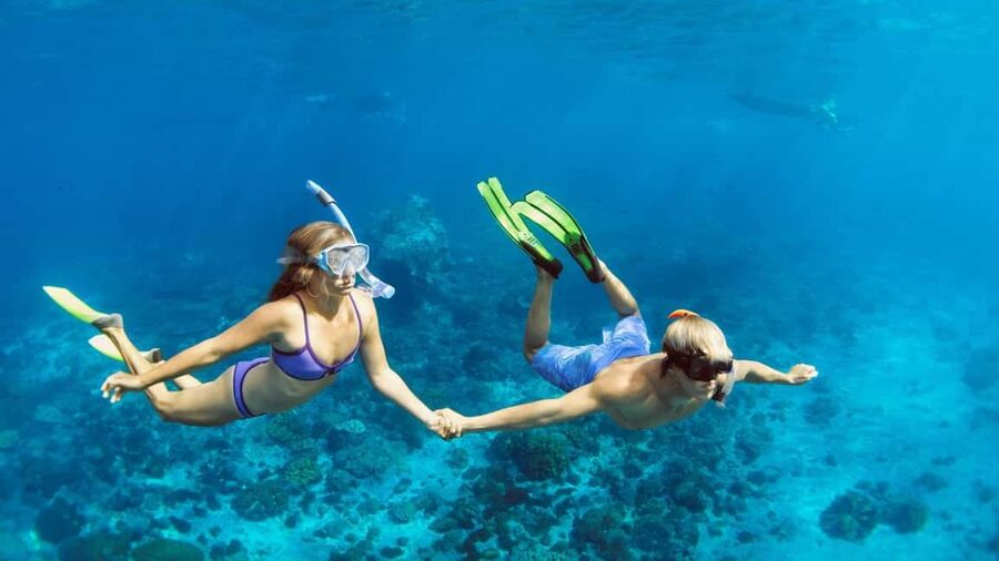 Hurghada: Scuba Diving for Beginners & Certified Divers - Key moments that make this trip worth your $30