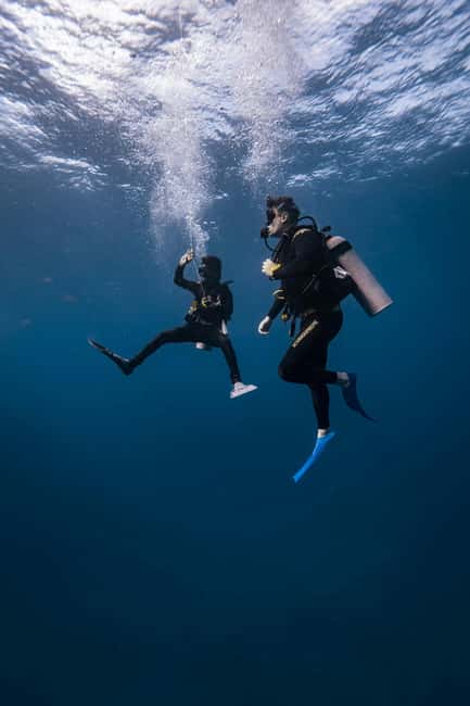 Hurghada: Scuba Diving for Beginners & Certified Divers - What to watch out for, timing, nerves, and communication