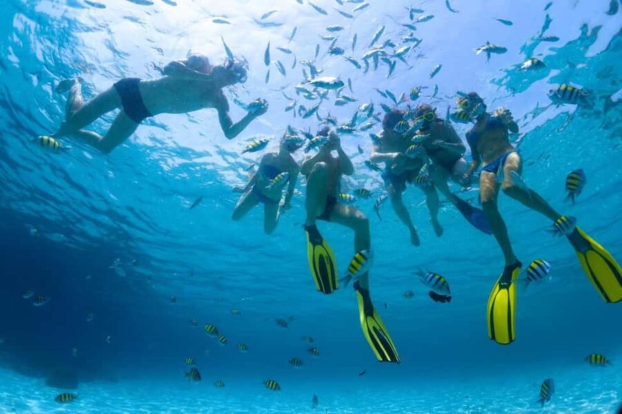 Hurghada: Scuba Diving for Beginners & Certified Divers - Two snorkeling stops that prime you for your first underwater session