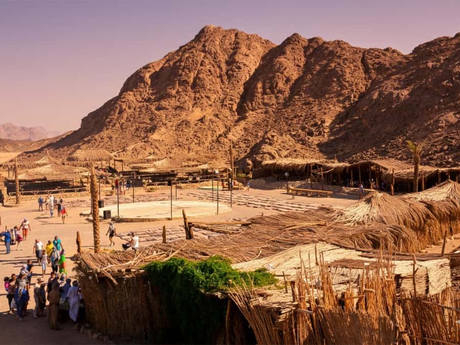 Hurghada: Sea & Desert Camel Ride w/Dinner, Show, Stargazing - Key things to know before you go