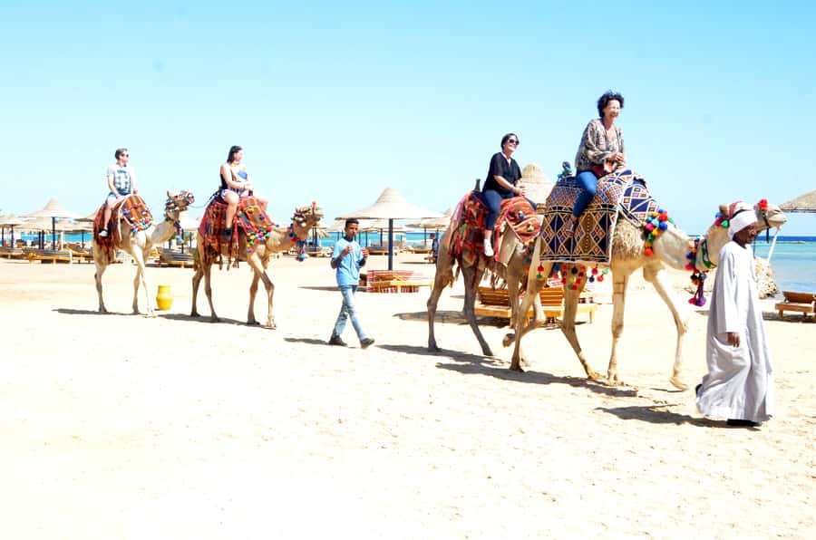 Hurghada: Sea & Desert Camel Ride w/Dinner, Show, Stargazing - Should you book this Hurghada Sea and Desert Camel Ride with Dinner and Stargazing?