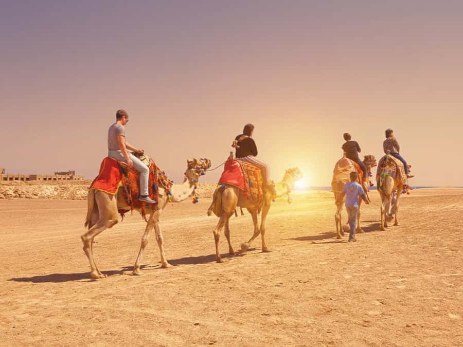 Hurghada: Sea & Desert Camel Ride w/Dinner, Show, Stargazing - Sunset dinner, Oriental food, and the reality of the show