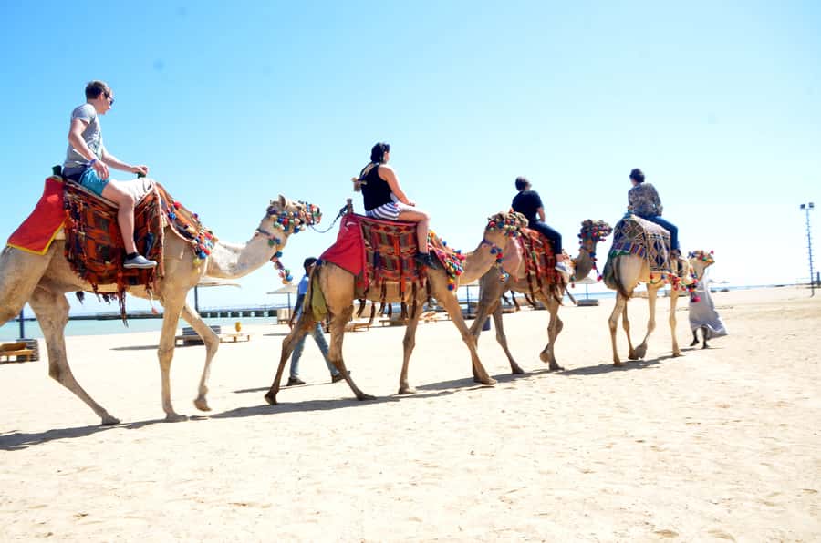 Hurghada: Sea & Desert Camel Ride w/Dinner, Show, Stargazing - Photography, guides, and how the experience really feels