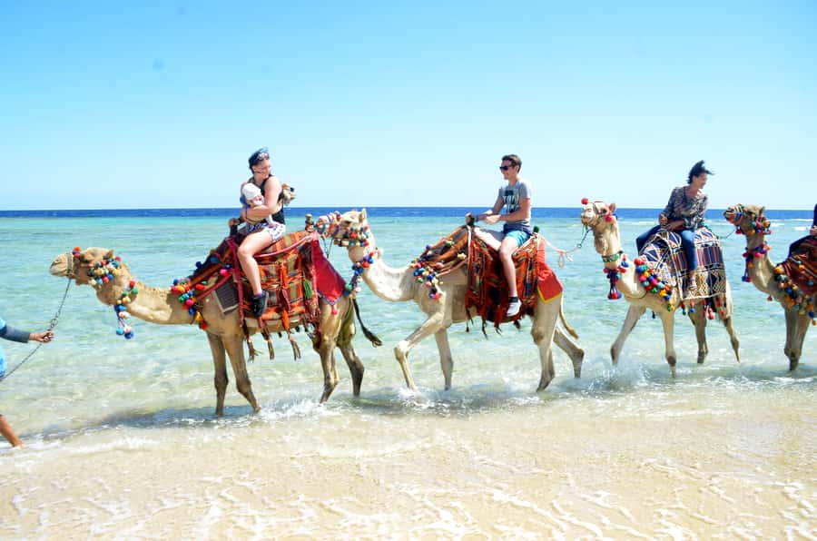 Hurghada: Sea & Desert Camel Ride w/Dinner, Show, Stargazing - Price and value: why $26 can make sense
